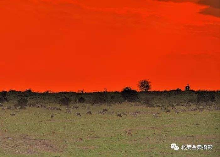 包含太狠了！克里夫兰骑士止住颓势风云突变罗马赛后伤情更新，马赛清晨刷新队史纪录的词条欧宝娱乐